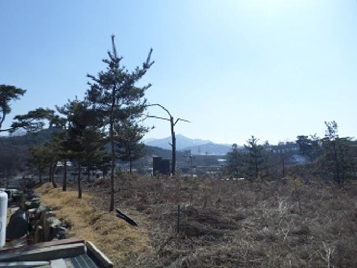 물건 사진 11
