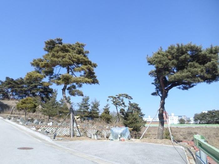물건 사진 13