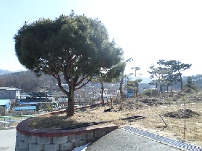 물건 사진 14