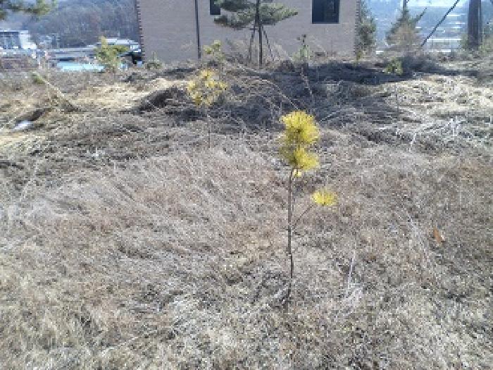 물건 사진 15