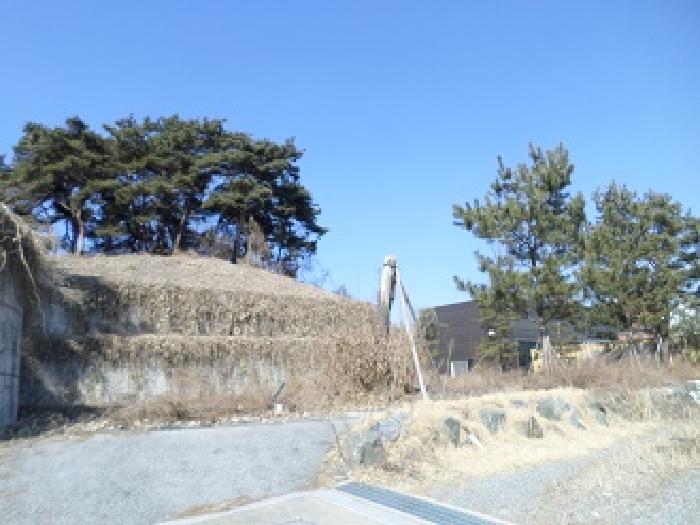 물건 사진 5