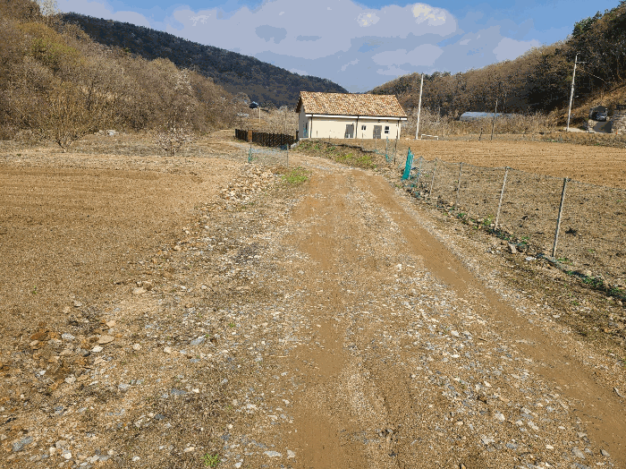 물건 사진 16