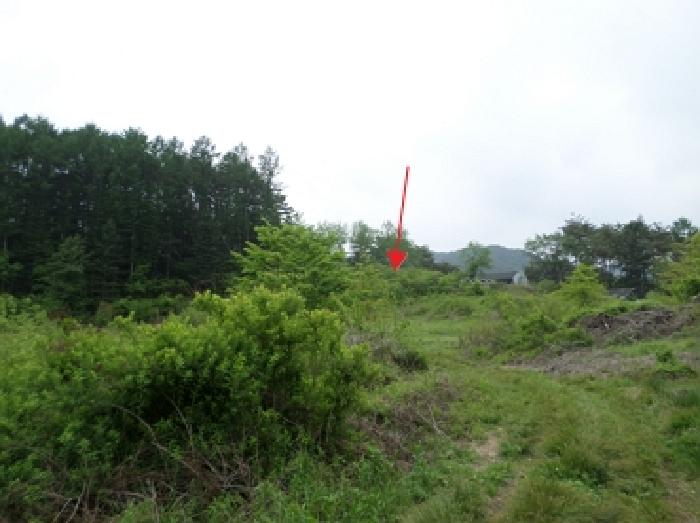 물건 사진 1