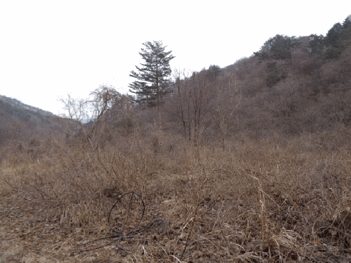 물건 사진 7