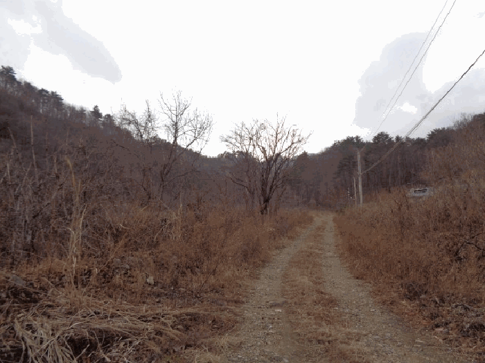물건 사진 8