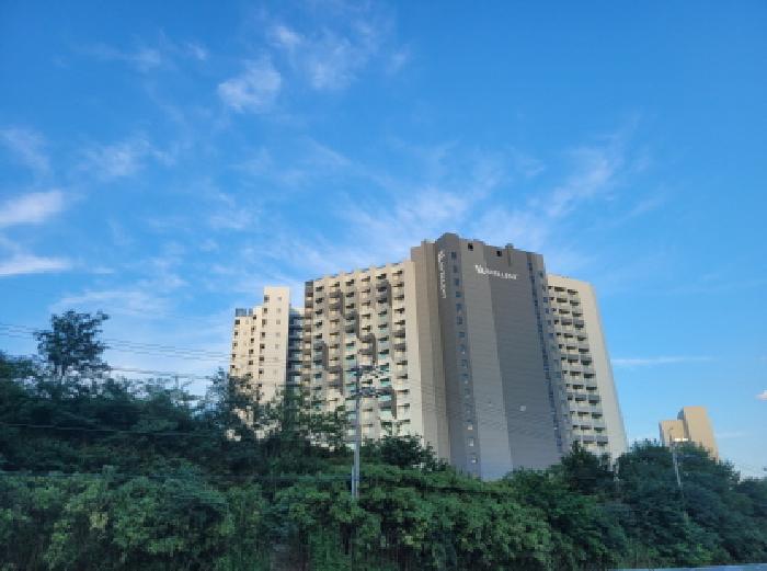 물건 사진 3