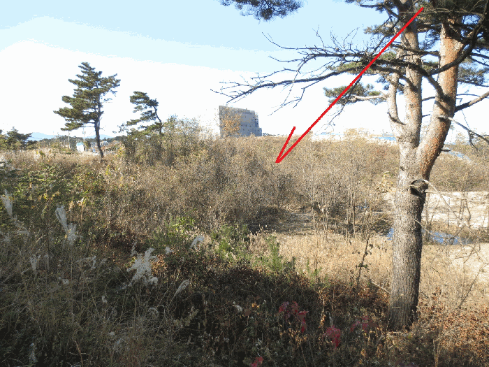 물건 사진 26