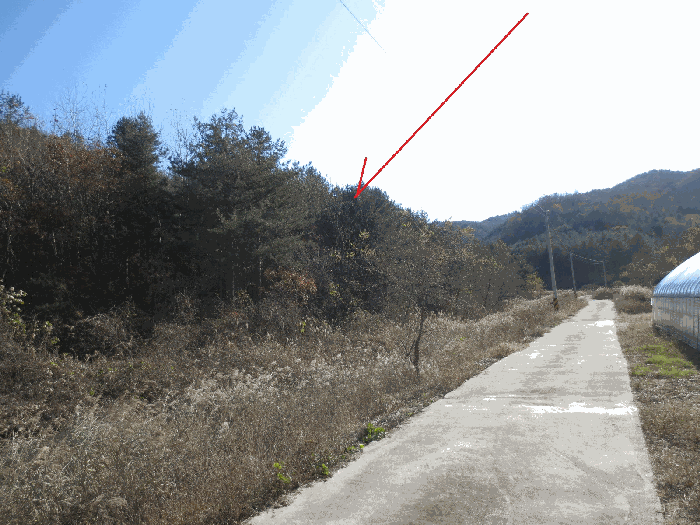 물건 사진 29