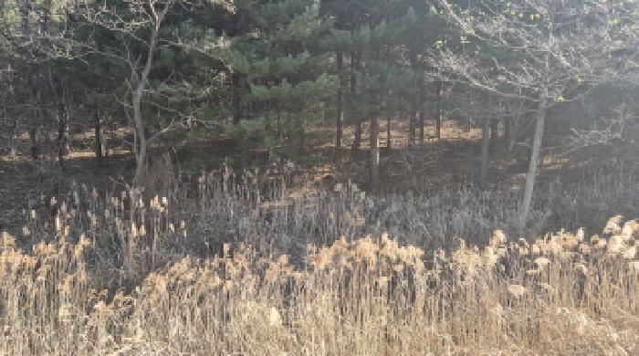 물건 사진 7