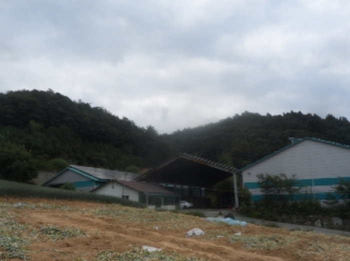 물건 사진 18