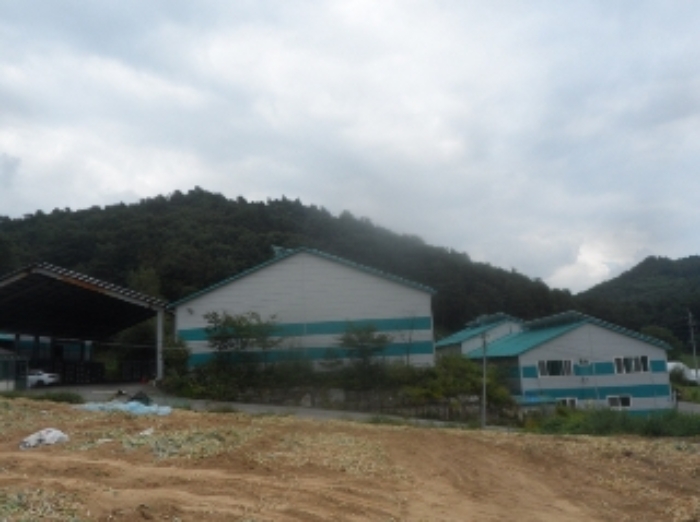 물건 사진 19