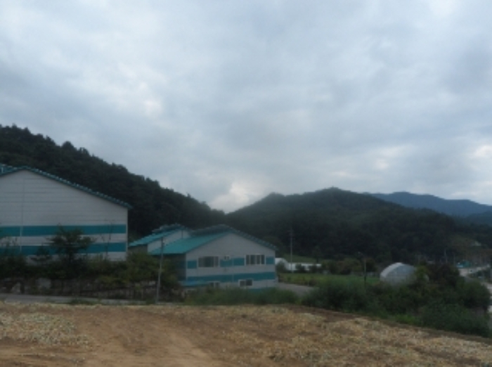 물건 사진 20