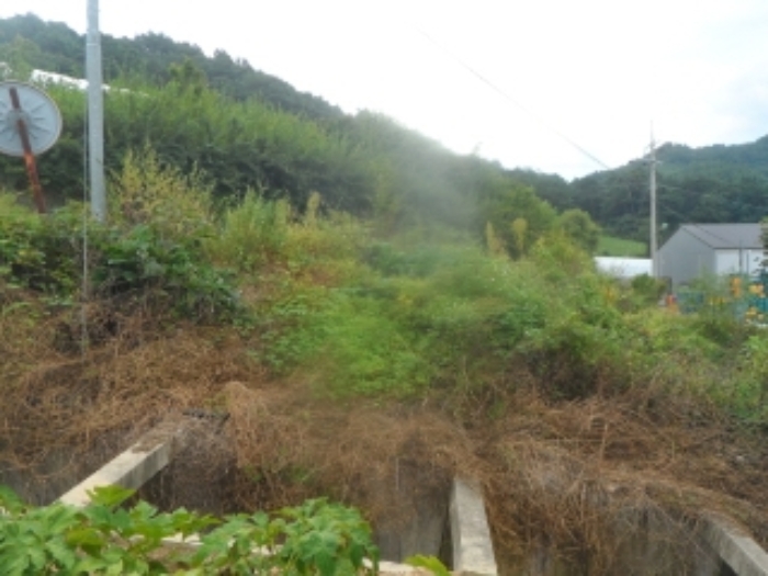 물건 사진 23