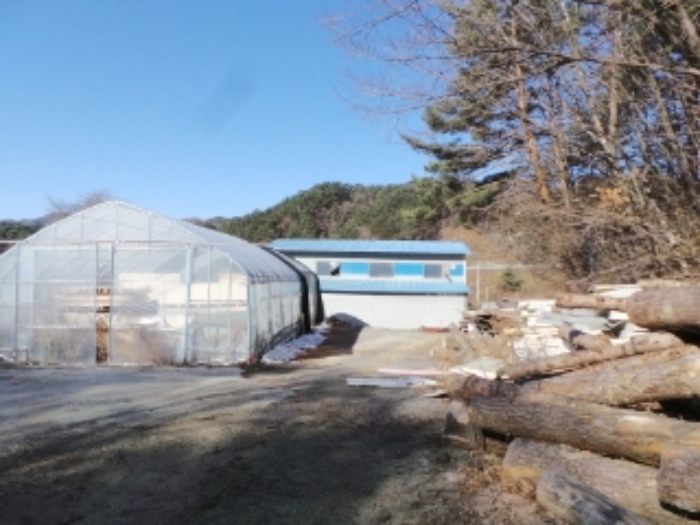 물건 사진 15