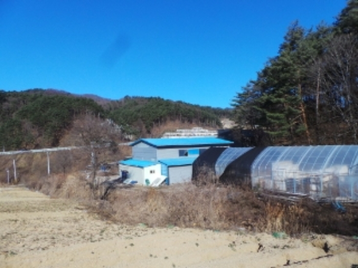 물건 사진 13