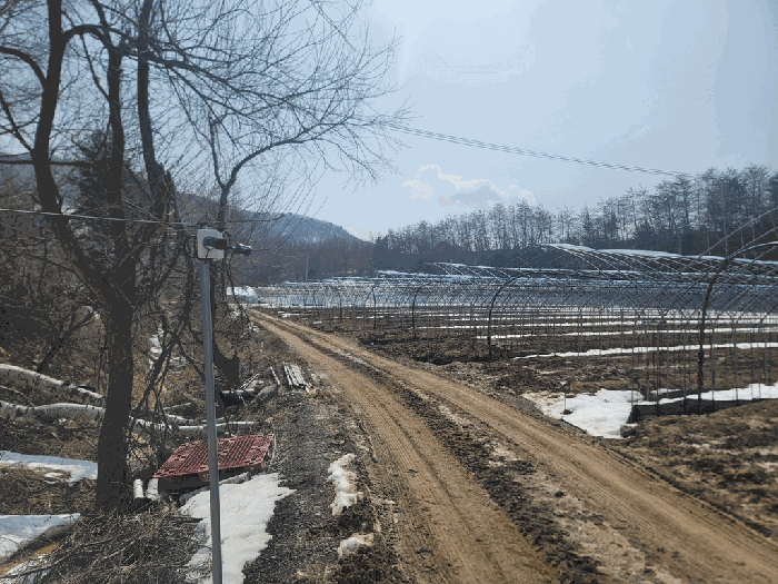 물건 사진 10