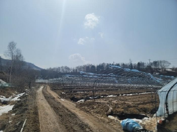 물건 사진 1