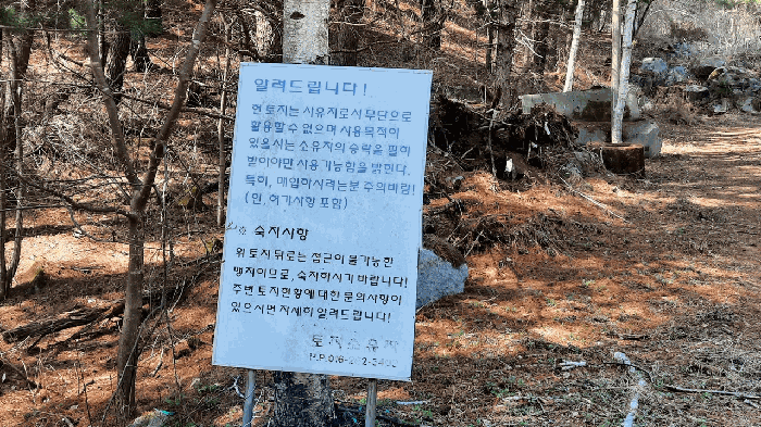 물건 사진 42