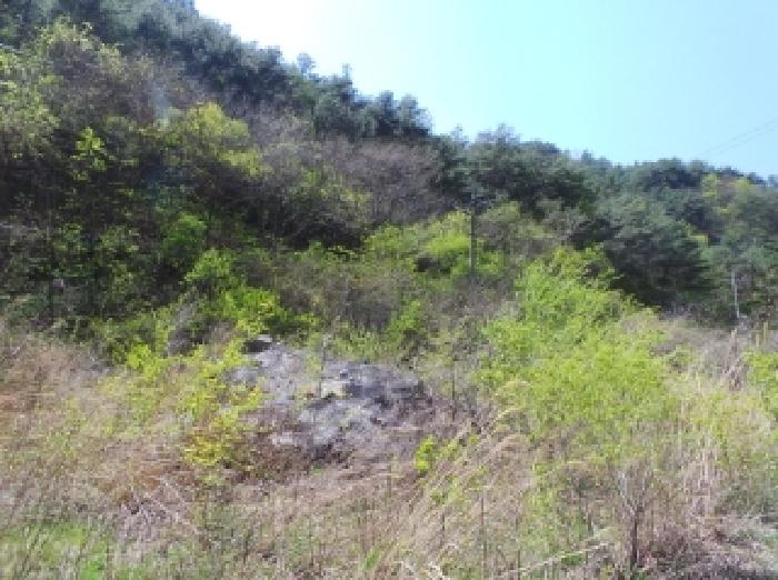 물건 사진 25