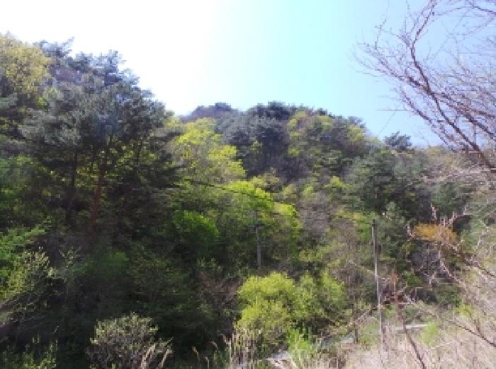 물건 사진 29