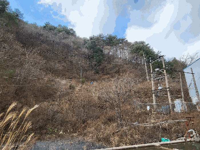 물건 사진 54