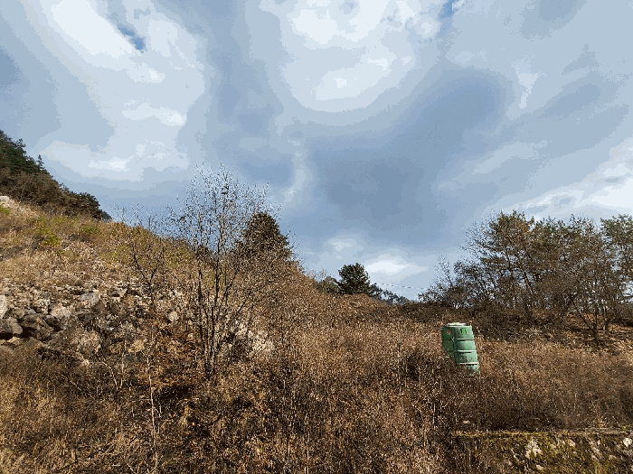 물건 사진 64