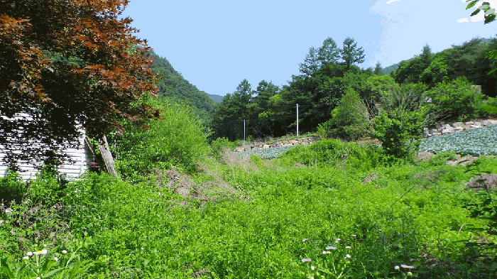 물건 사진 32