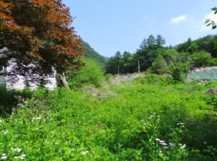 물건 사진 5