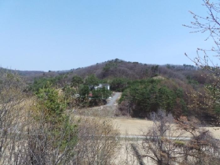 물건 사진 13