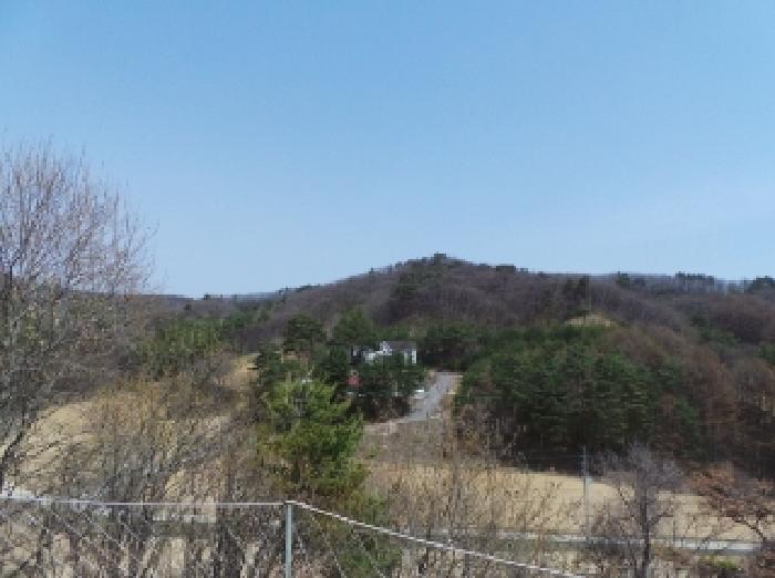 물건 사진 14