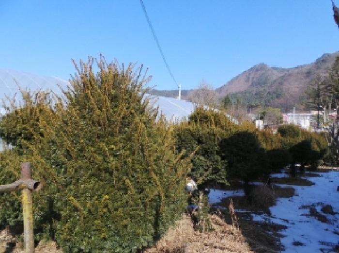 물건 사진 5