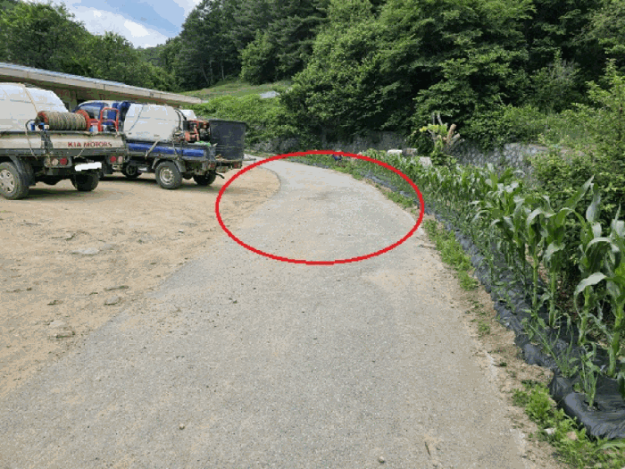 물건 사진 17