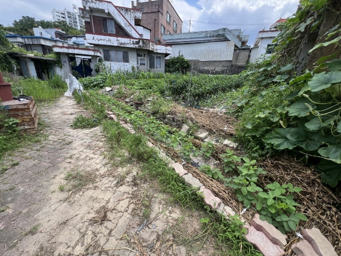 물건 사진 16