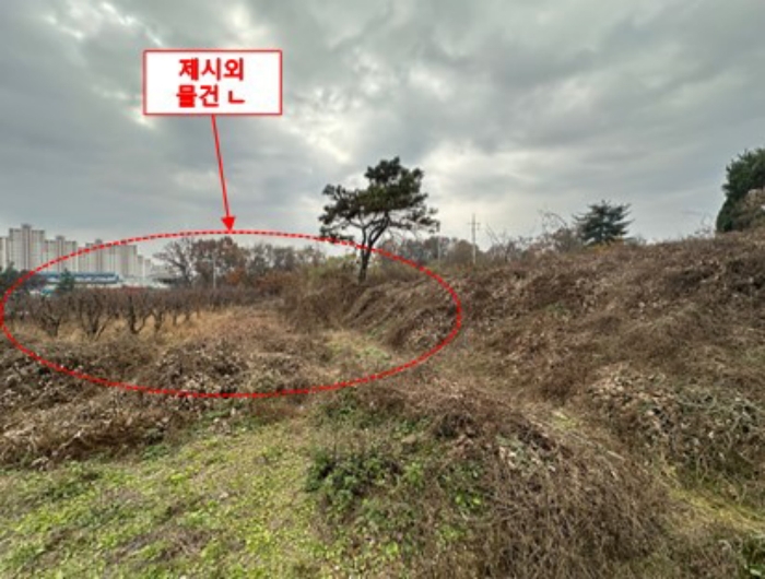 물건 사진 16