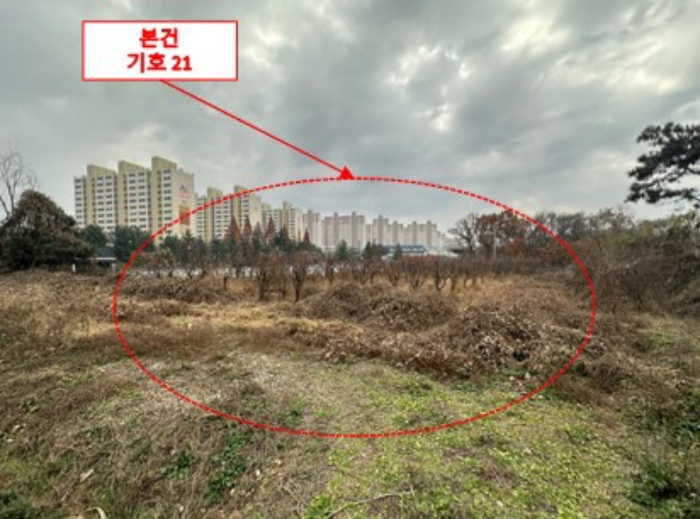물건 사진 17