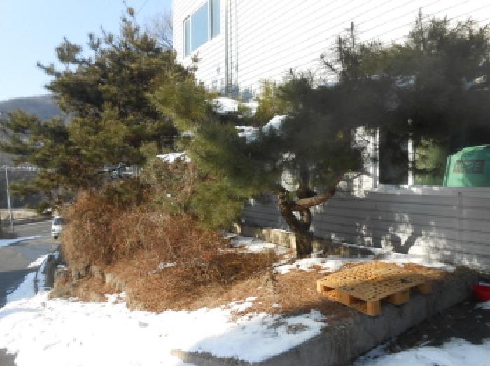 물건 사진 6