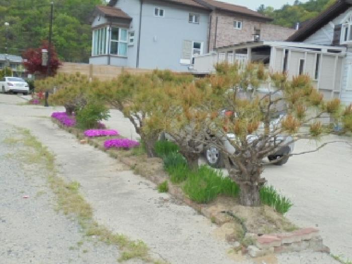 물건 사진 20