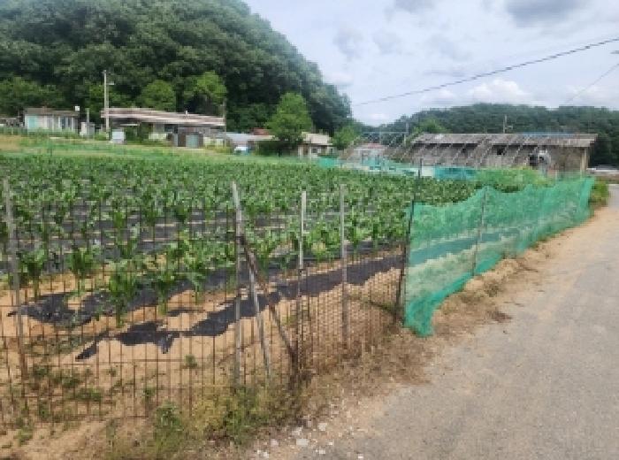 물건 사진 3