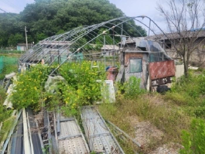 물건 사진 9