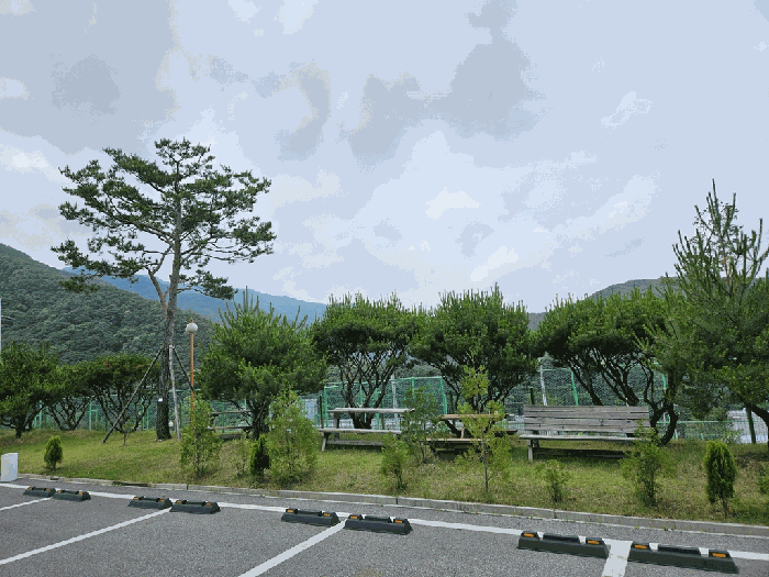 물건 사진 17
