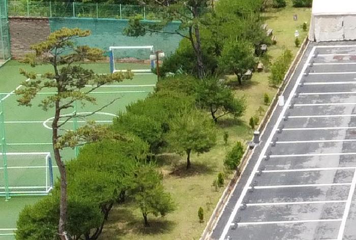 물건 사진 6