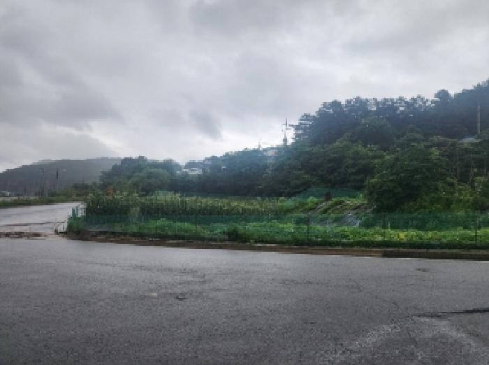 물건 사진 11