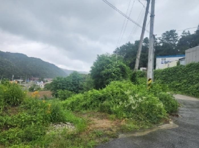 물건 사진 18