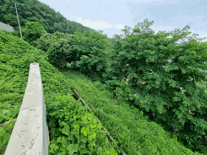 물건 사진 38