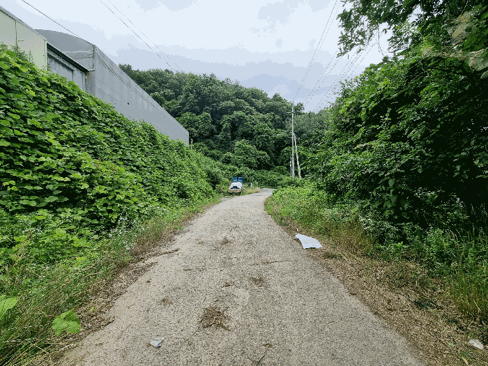 물건 사진 49