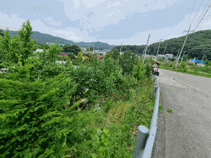물건 사진 51
