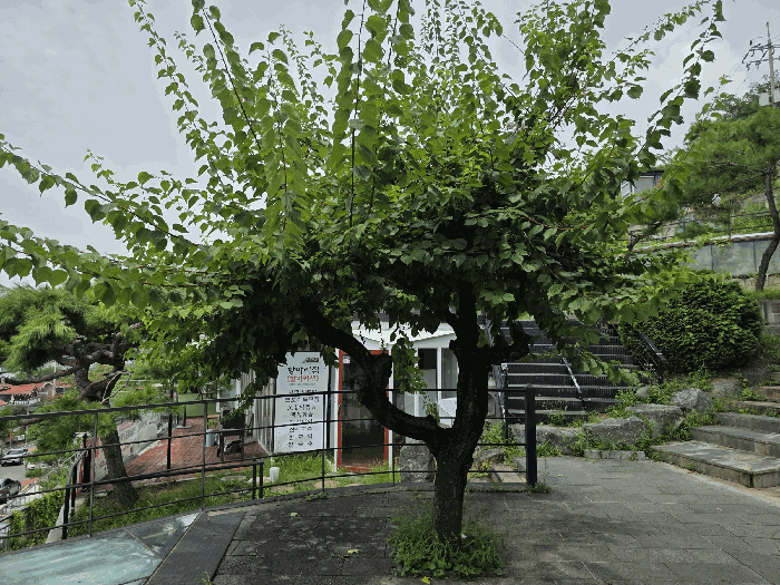 물건 사진 35