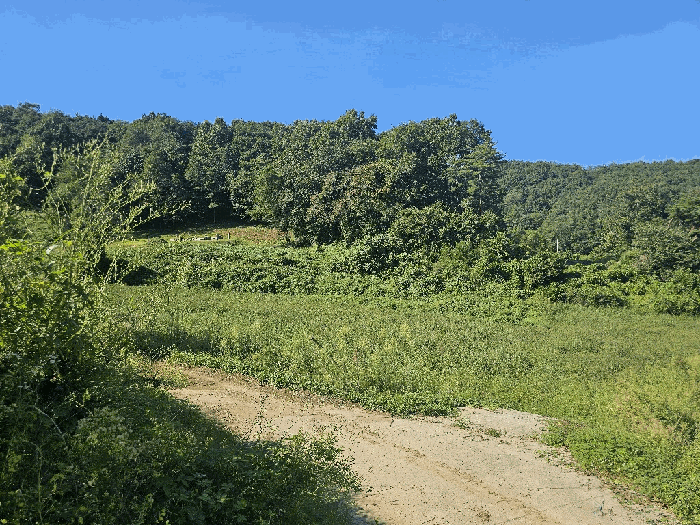 물건 사진 18