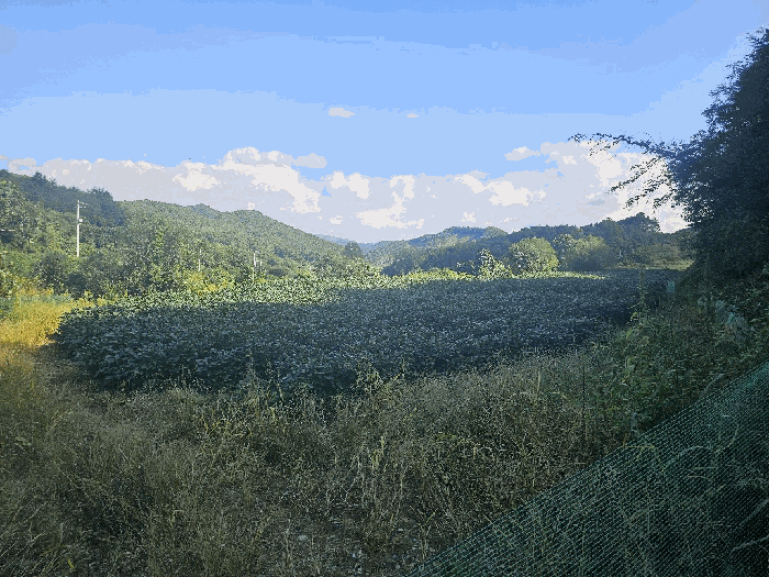 물건 사진 19