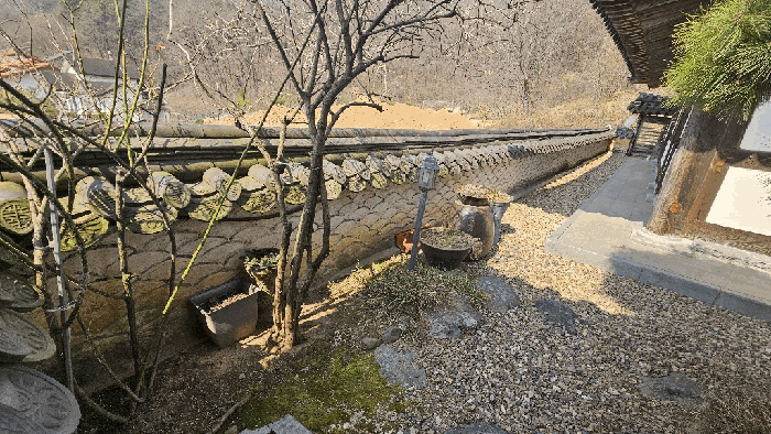 물건 사진 19